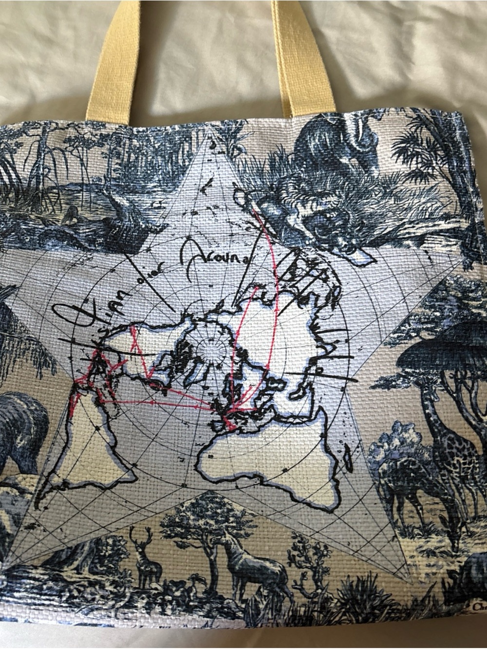 Christian Dior World Traveler Print Tote Platinum Beauty Gift